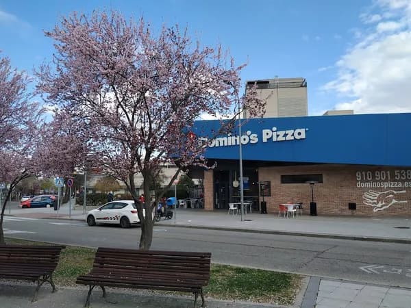 Domino's Pizza