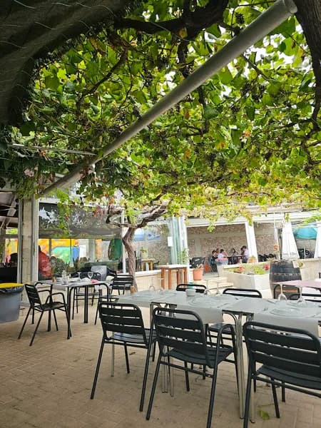 Taberna Conde